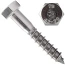 Hexagon screw DIN 571 M8x70mm A2